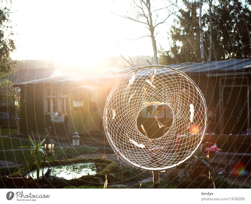 positiv vibrations Lifestyle Häusliches Leben Traumhaus Garten Dekoration & Verzierung Sonnenaufgang Sonnenuntergang Sonnenlicht Hütte Netz Kreis glänzend