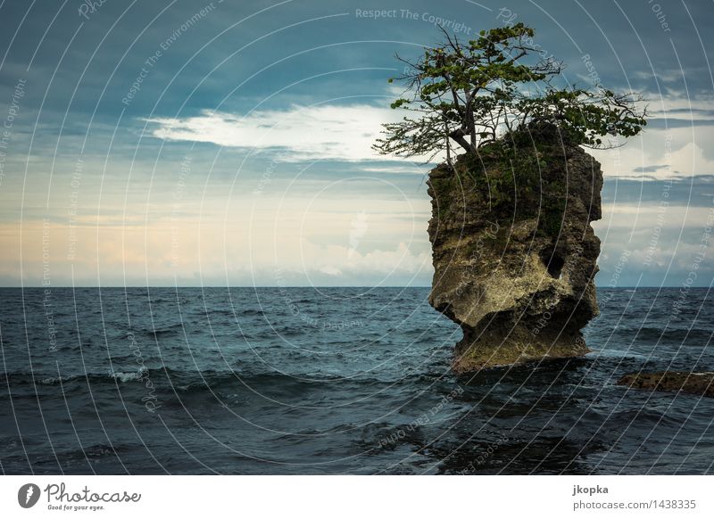 Insel der Natur Ferne Freiheit Meer Wellen Landschaft Urelemente Wasser Himmel Wolken Sonnenlicht Wetter schlechtes Wetter Baum Felsen Küste Riff