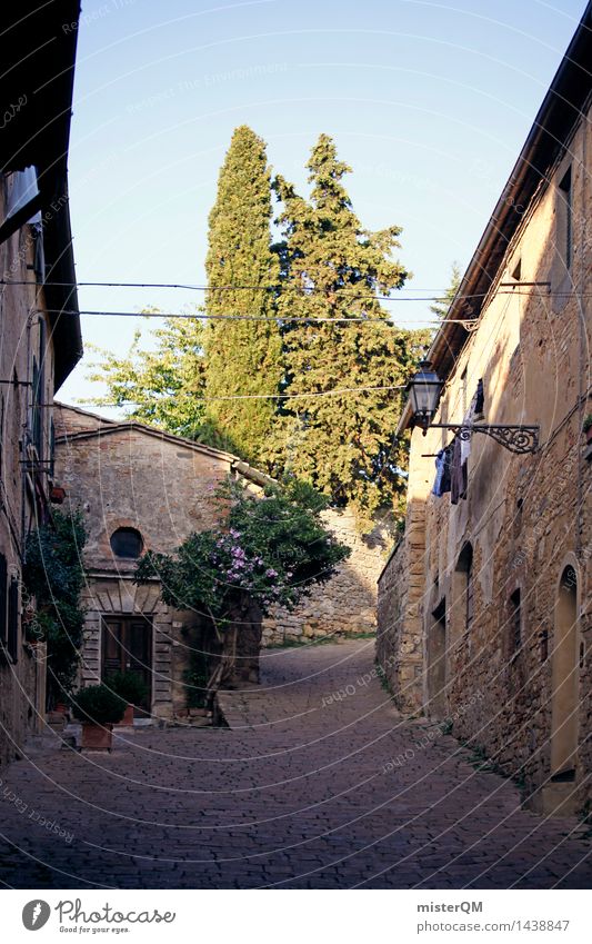 Italienische Gasse. Kunst ästhetisch Stadt Stadtrand Stadtteil mediterran Idylle friedlich abgelegen Zypresse Einsamkeit Farbfoto mehrfarbig Außenaufnahme