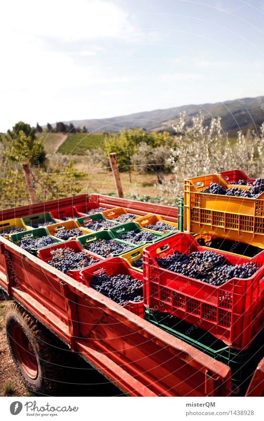 Sangiovese III Kunst Kunstwerk ästhetisch Wein Weinberg Weinbau Weintrauben Weinlese Weingut Kiste viele Ernte verpackt Landschaft Italien Toskana Chianti