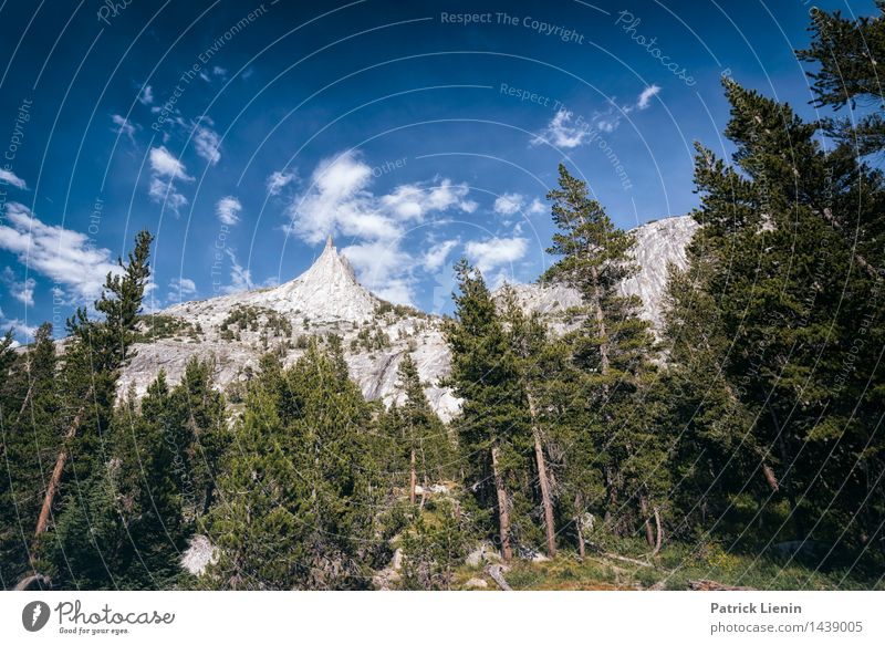 Cathedral Peak Wohlgefühl Zufriedenheit Ferien & Urlaub & Reisen Ausflug Abenteuer Freiheit Expedition Camping Berge u. Gebirge wandern Umwelt Natur Landschaft