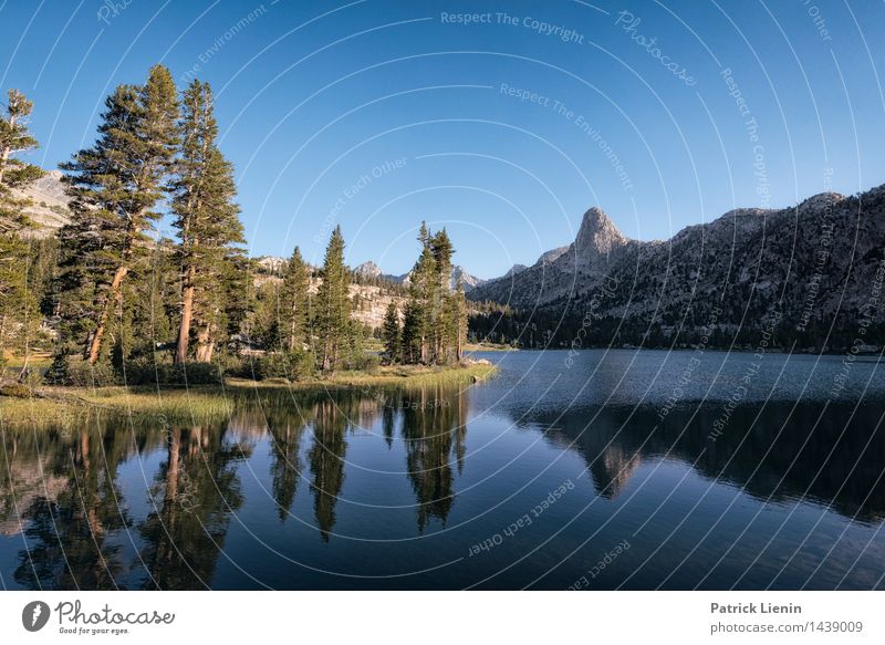 Arrowhead Lake Wohlgefühl Sinnesorgane Ferien & Urlaub & Reisen Ausflug Abenteuer Ferne Umwelt Natur Landschaft Pflanze Wasser Himmel Sommer Klima Klimawandel