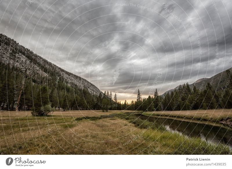 Lyell Canyon harmonisch Wohlgefühl Zufriedenheit Sinnesorgane Erholung Ferien & Urlaub & Reisen Umwelt Natur Urelemente Erde Himmel nur Himmel