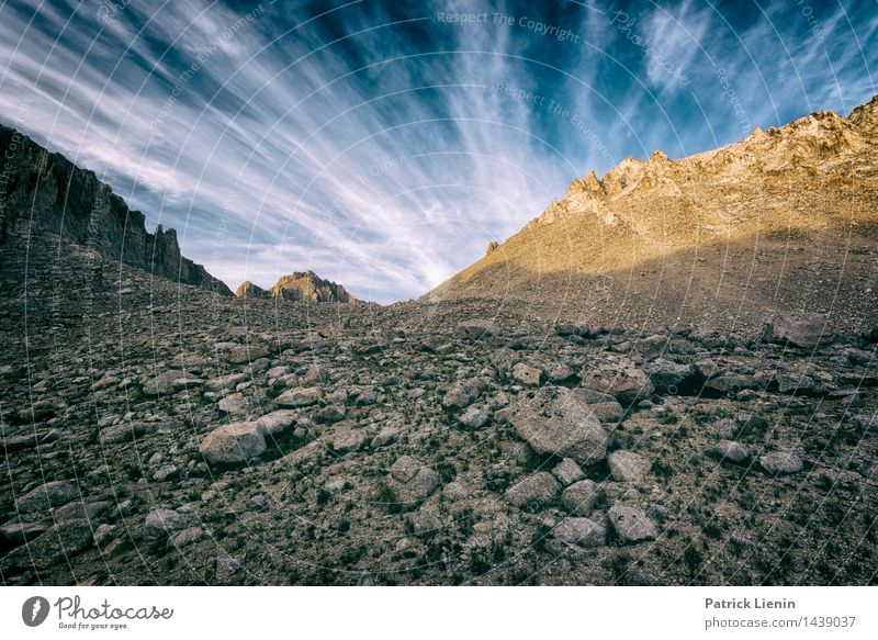 Kings Canyon National Park Wohlgefühl Zufriedenheit Sinnesorgane Erholung Ferien & Urlaub & Reisen Abenteuer Ferne Freiheit Umwelt Natur Landschaft Urelemente