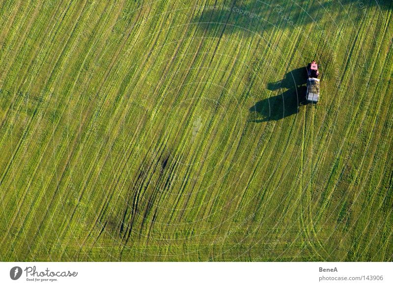 Mr. Tractor Driver 2 Traktor Landwirtschaft Nutzfahrzeug Fahrzeug Feld Wiese grün Linie Symmetrie Geometrie Arbeit & Erwerbstätigkeit Erzeuger Schatten