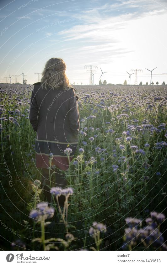 Blumenfeld Windkraftanlage Frau Erwachsene 1 Mensch Feld Mantel träumen Sehnsucht Gedeckte Farben Außenaufnahme Sonnenaufgang Sonnenuntergang Gegenlicht