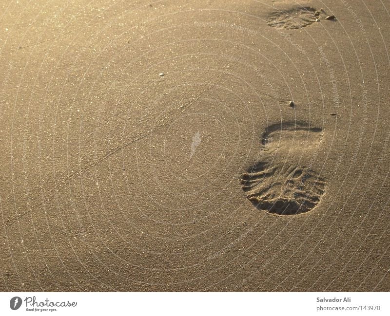 du und deine Profilierung Silhouette schön Erholung Strand Natur Sand Küste Fußspur gehen braun Vergänglichkeit körnig Spuren beige Spaziergang coney island