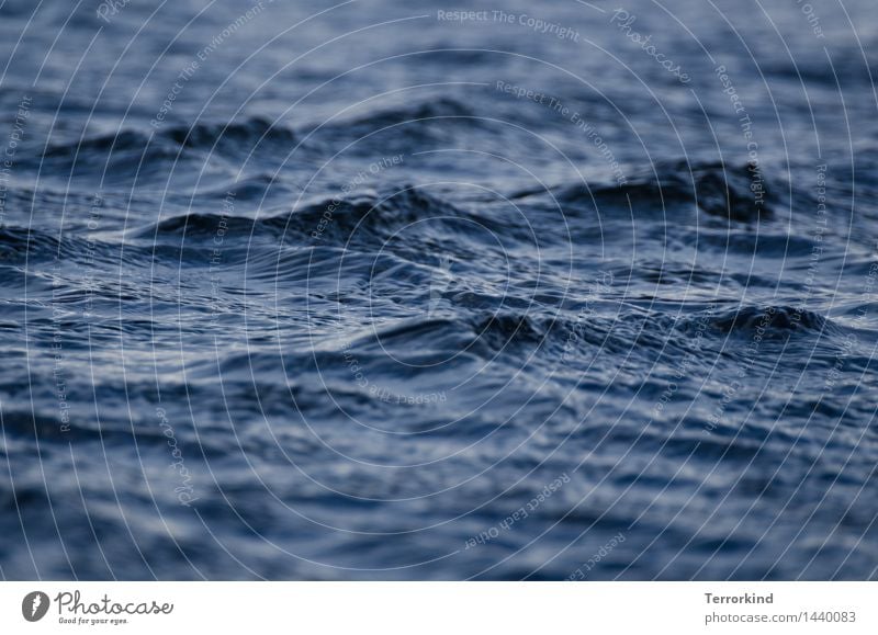 start.over.again. Natur Wasser Herbst Schönes Wetter Wellen Küste Fjord Nordsee Meer Teich See frisch schön nass natürlich wild weich braun schwarz Wellengang