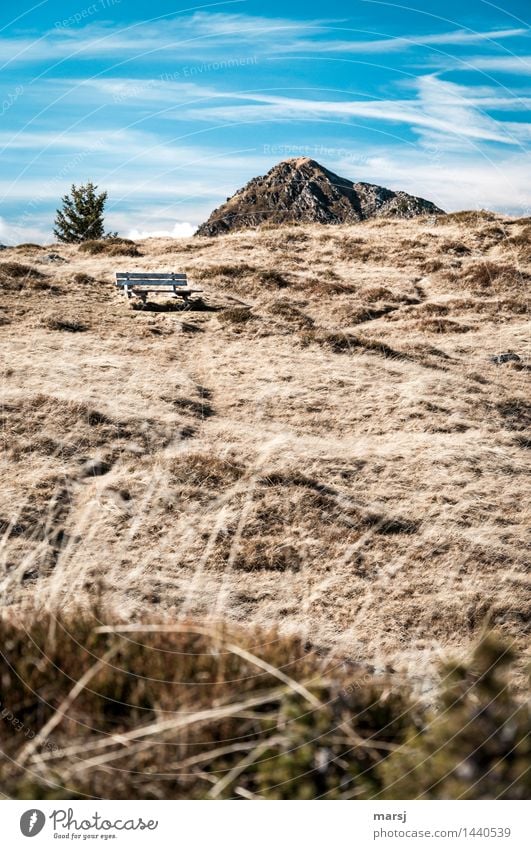 Herbstruhe-Bank Natur Wiese Felsen Berge u. Gebirge Schoberspitz Bergwiese Erholung ruhig Traurigkeit trist Einsamkeit Farbfoto Gedeckte Farben Außenaufnahme