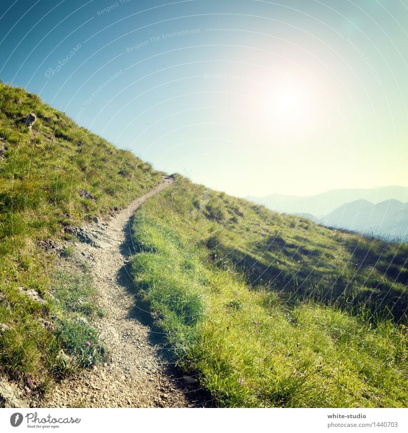 Weg. Umwelt Natur Sport wandern Wege & Pfade Fußweg Naturschutzgebiet Landschaft grün Ferien & Urlaub & Reisen Reisefotografie Gras Wiese Spaziergang