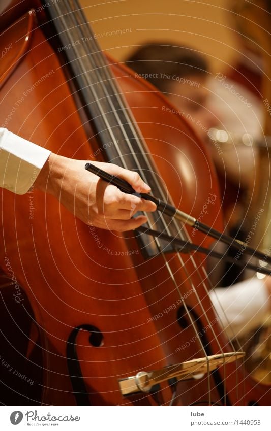 Tiefe Töne Musik Musik hören Konzert Bühne Musiker Orchester streichen Elektrobass Kontrabass Streichinstrumente Musikunterricht Farbfoto