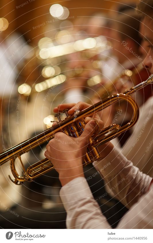 Trompeter Kunst Künstler Musik Musik hören Konzert Bühne Musiker Orchester Musiknoten gold trompete Blasmusik Jazz jazzmusiker brassband Ton Farbfoto