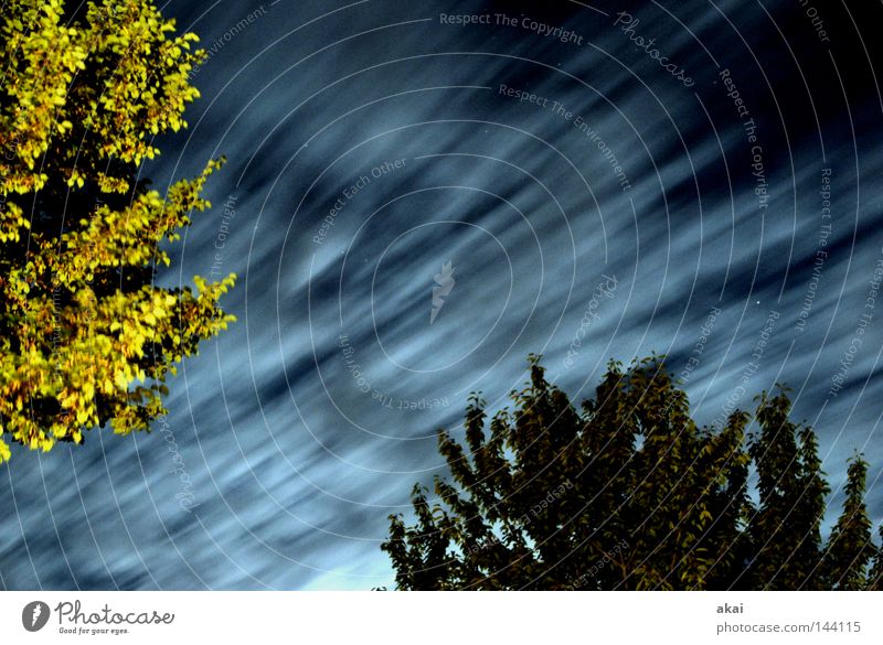 Nightclouds Wolken Nacht Himmel himmelblau Geometrie Laubbaum Perspektive Laubwald Waldwiese Paradies Nadelwald Waldlichtung ruhig grün Pflanze Baum Blatt