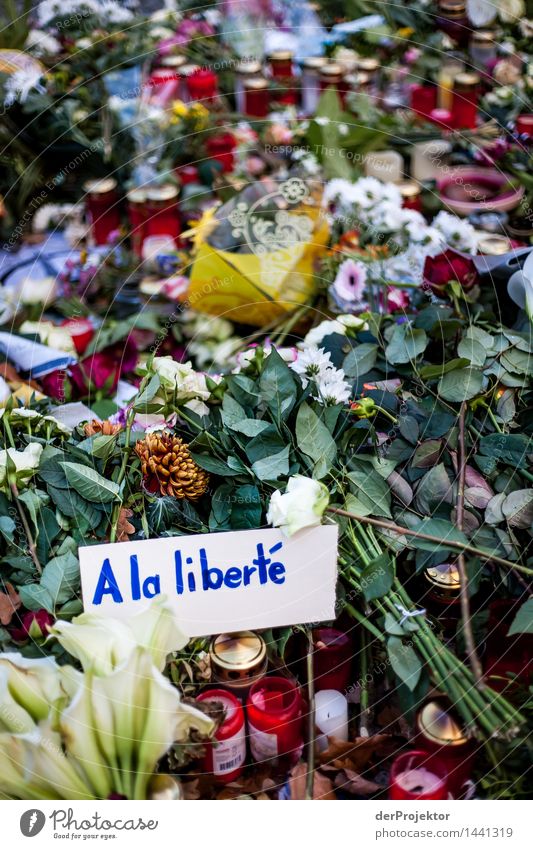 A la liberté Umwelt Natur Landschaft Winter Pflanze Rose Tulpe Blüte Stadtzentrum Sehenswürdigkeit außergewöhnlich Duft dunkel gruselig Gefühle Kraft