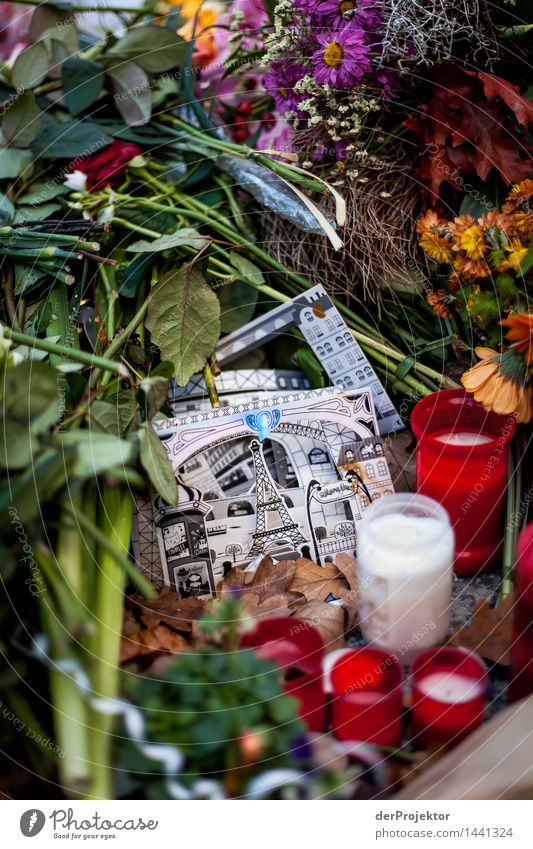 Gedenken an Paris Natur Pflanze Blatt Blüte Hauptstadt Sehenswürdigkeit Wahrzeichen Denkmal Mitgefühl friedlich Menschlichkeit Solidarität trösten dankbar