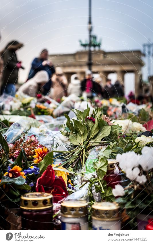 Trauer am Brandenburger Tor Hauptstadt Sehenswürdigkeit Wahrzeichen Denkmal bedrohlich Duft dunkel Kraft Willensstärke Leidenschaft Zusammensein Mitgefühl