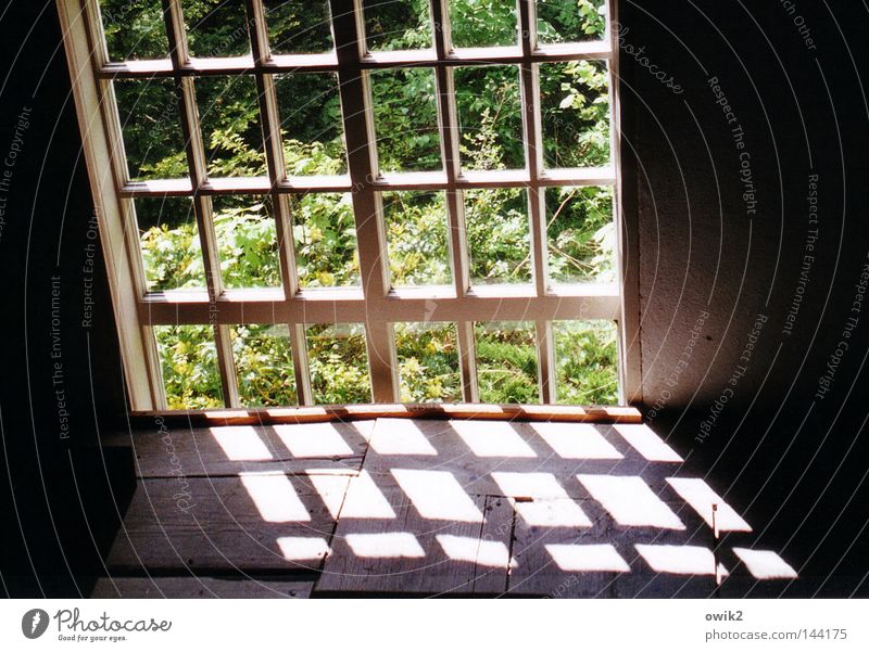 Scheibchenweise ruhig Sommer Garten Natur Landschaft Blatt Kirche Architektur Fenster Holz alt Denken eckig einfach historisch grün Hoffnung Vergänglichkeit