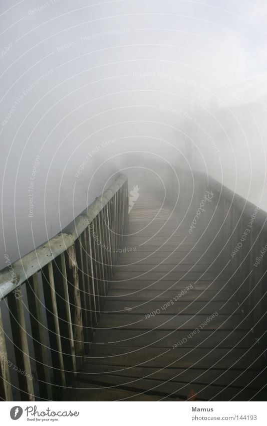 my way... Brücke Steg Wasser Nebel Physik Rauch Holz verloren Wege & Pfade Wolken ungewiss Ferne dunkel Landschaftsformen See nass Außenaufnahme Wärme