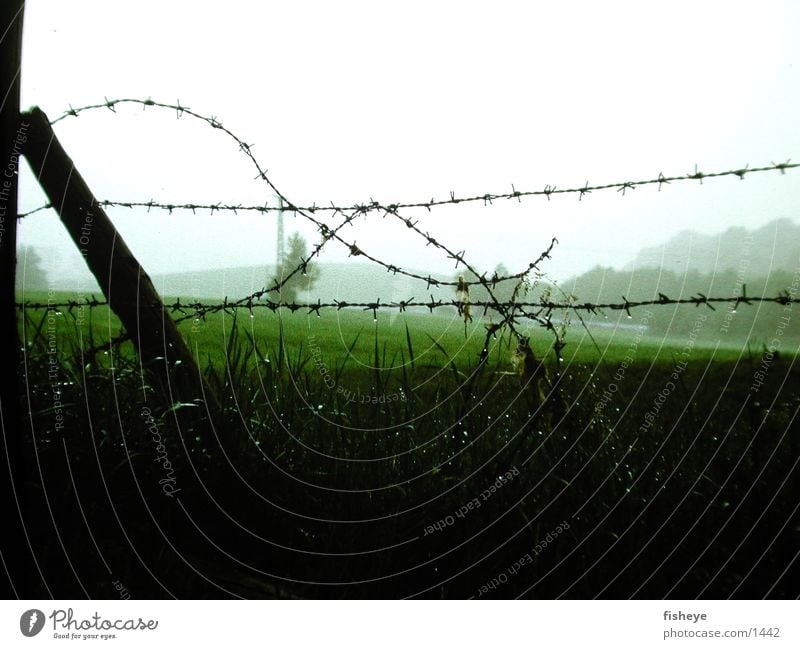 Stacheldraht Zaun nass Seil Nebel Pfosten