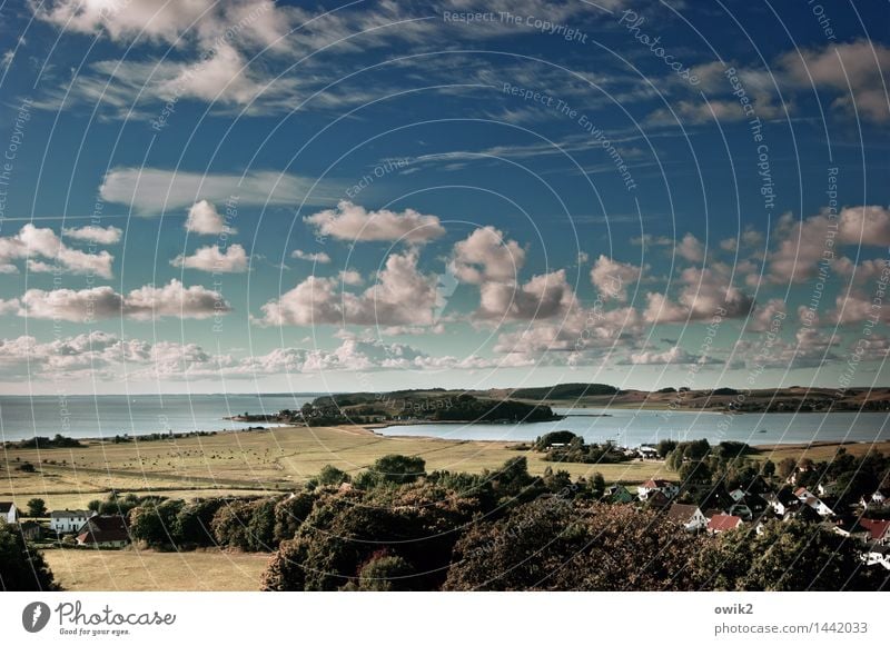 War mal Südschweden Ferne Freiheit Umwelt Natur Landschaft Wasser Himmel Wolken Horizont Klima Schönes Wetter Baum Feld Hügel Küste Bucht Ostsee Insel Rügen