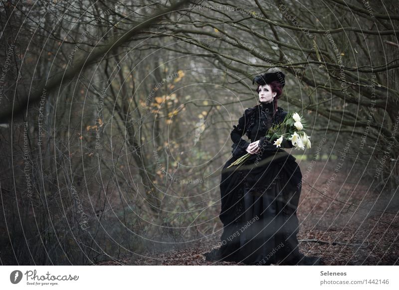 Lilien Mensch feminin Frau Erwachsene 1 Subkultur Umwelt Natur Herbst Winter Park Kleid Hut Traurigkeit Sorge Trauer Schmerz Einsamkeit Verzweiflung Barock