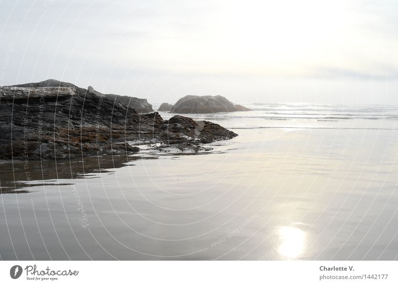 Ruhe Natur Landschaft Urelemente Wasser Horizont Sonne Sonnenaufgang Sonnenuntergang Herbst Schönes Wetter Küste Bucht Meer Atlantik Insel Vancouver Island