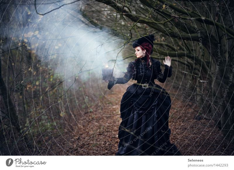 1400l magic Mensch feminin Frau Erwachsene 30-45 Jahre Theaterschauspiel Subkultur Umwelt Natur Baum Wald Kleid Hut Zauberei u. Magie Rauch Barock Farbfoto