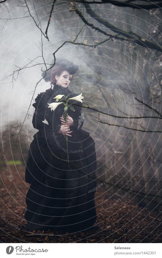 fogged Mensch feminin Frau Erwachsene 1 Subkultur Umwelt Natur Herbst Nebel Baum Park Wald Kleid Hut festhalten Traurigkeit Sorge Trauer Lilien Farbfoto