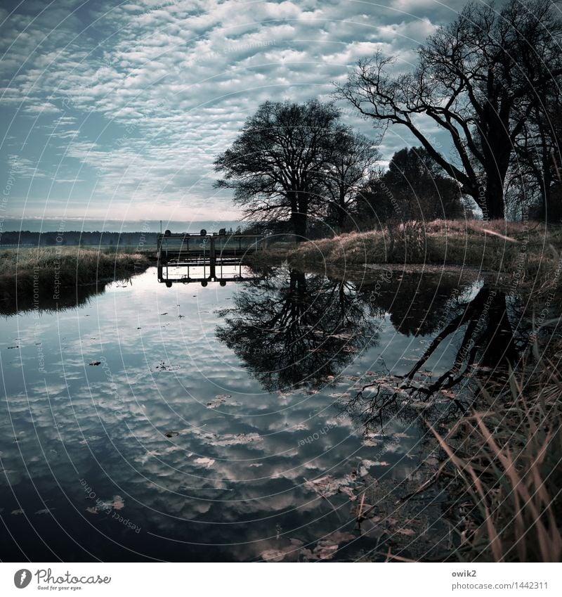 Staustufe Schleuse Siel Brücke Gewässer Umwelt Natur Landschaft Pflanze Luft Wasser Himmel Wolken Horizont Klima Wetter Schönes Wetter Baum Sträucher Ast Geäst