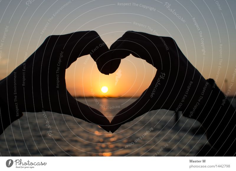 Beidhändig herzlich Sommer Sommerurlaub Strand Meer Hand Finger Landschaft Wasser Himmel Wolkenloser Himmel Sonne Sonnenaufgang Sonnenuntergang Sonnenlicht