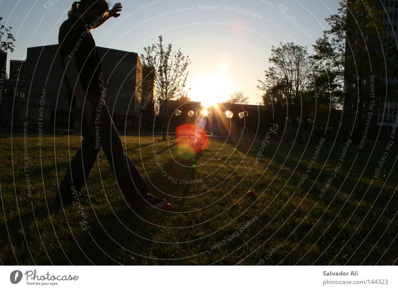 Sunset-Pils-Kubb Schweden Freizeit & Hobby Pause Erholung Sonnenuntergang Aktion Spielen edel elegant Gefühle werfen Sommer Rasen Sportrasen grün Licht blau