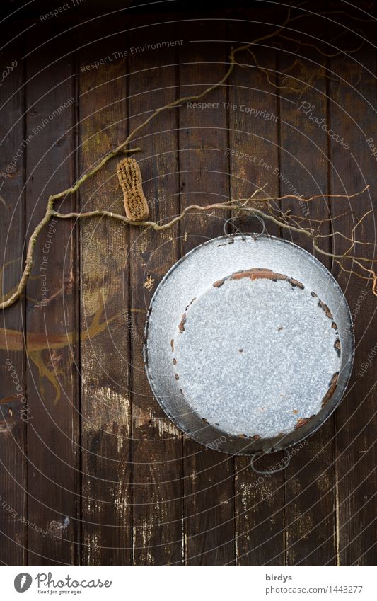 Spa-Bereich Körperpflege Holzwand Waschzuber Bürste hängen alt einfach retro braun grau gewissenhaft ruhig Reinlichkeit Sauberkeit bescheiden Senior einzigartig