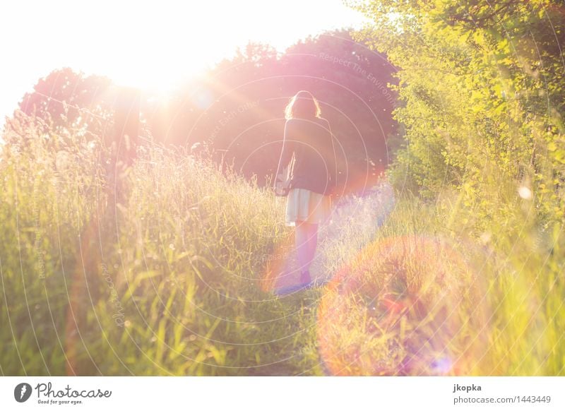 Beauty in Nature Ausflug Sommer Sommerurlaub Sonne feminin Junge Frau Jugendliche Erwachsene 1 Mensch 18-30 Jahre Frühling Schönes Wetter Gras Wiese