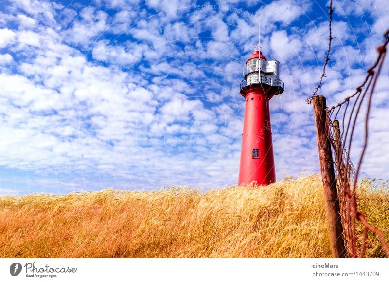 north sea lighthouse Wolken Sonne Sommer Sträucher Hafenstadt Turm Leuchtturm Bauwerk beobachten drehen entdecken Kommunizieren leuchten