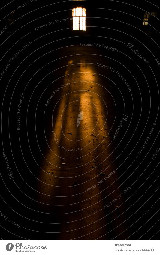 lichtquelle Fenster vergilbt alt Einsamkeit leer Putz Verfall Deutschland Licht Stein Mörtel verfallen kaputt gefährlich unheimlich dunkel geisterhaft dreckig