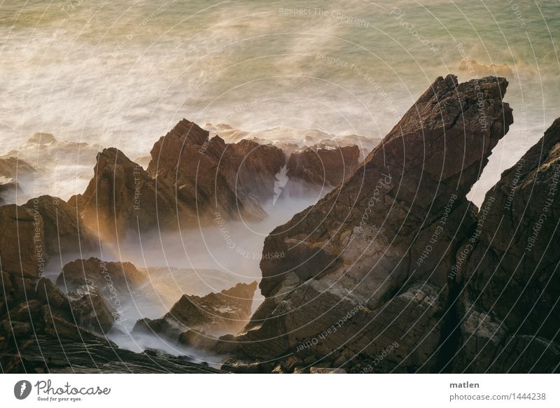 Sonnenstrahl Natur Landschaft Schönes Wetter Felsen Wellen Küste Meer Menschenleer leuchten dunkel braun gold grün weiß Klippe Sonnenstrahlen Farbfoto