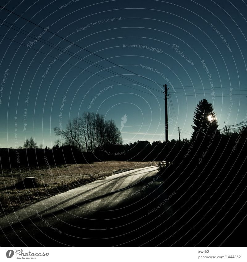 Früh Strommast Kabel Umwelt Natur Landschaft Wolkenloser Himmel Nachthimmel Horizont Sonne Schönes Wetter Pflanze Baum Wiese Wald Verkehr Verkehrswege Straße