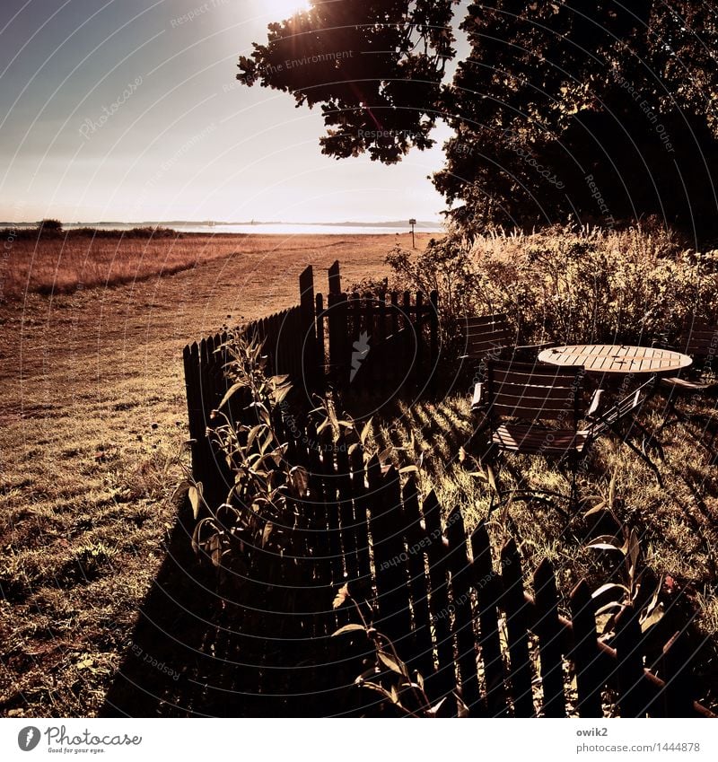 Fresenort Umwelt Natur Landschaft Pflanze Wolkenloser Himmel Horizont Klima Wetter Schönes Wetter Baum Gras Sträucher Garten Küste Ostsee Insel Ummanz