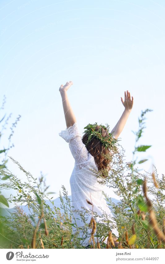 Wiesenkönigin letzteres Lifestyle Freude Glück feminin Mädchen Junge Frau Jugendliche Natur Wolkenloser Himmel Sommer Gras Sträucher Bewegung Tanzen frisch