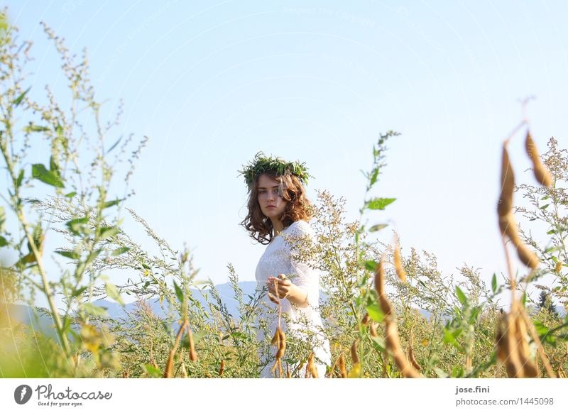 eHlfö00ä schön Schulkind feminin Mädchen Junge Frau Jugendliche Natur Landschaft Himmel Wolkenloser Himmel Frühling Sommer Schönes Wetter Feld Kranz Locken