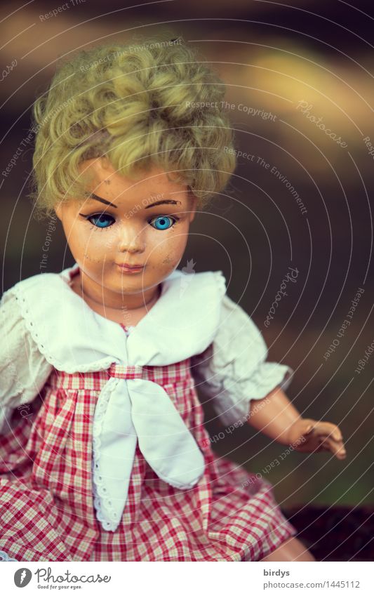 und deine blauen Augen ... blond Spielzeug Puppe Blick alt ästhetisch authentisch Freundlichkeit gruselig retro schön trösten Kindheit Traurigkeit Vergangenheit