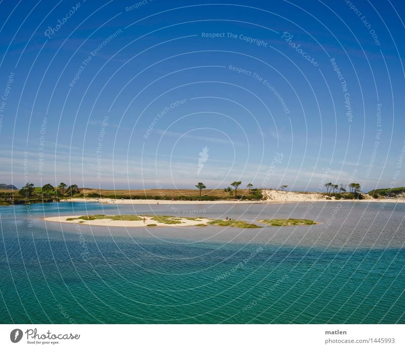 blaue Lagune Landschaft Pflanze Wasser Himmel Wolkenloser Himmel Horizont Sonnenlicht Wetter Schönes Wetter Baum Gras Küste Strand Meer Insel Schwimmen & Baden