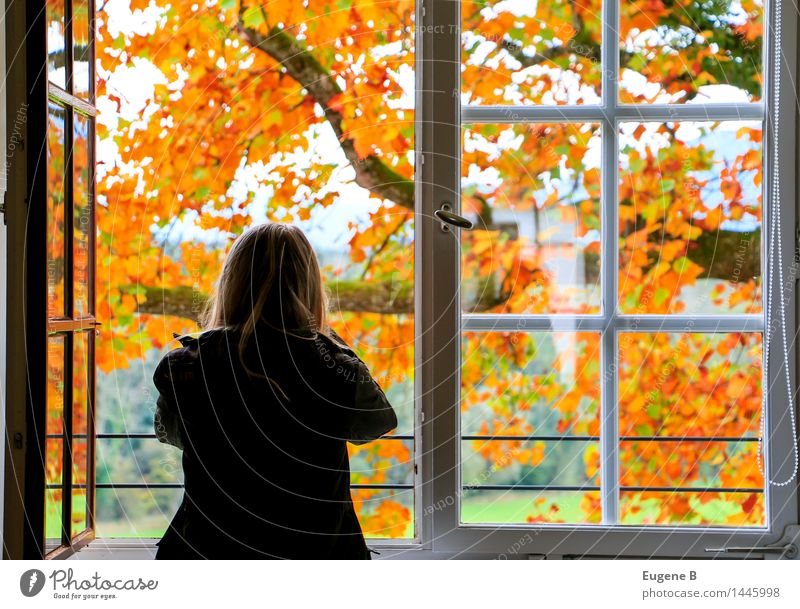 Fensterplatz Innenarchitektur Raum feminin Junge Frau Jugendliche Körper 1 Mensch 18-30 Jahre Erwachsene Kunst Museum Umwelt Natur Landschaft Herbst