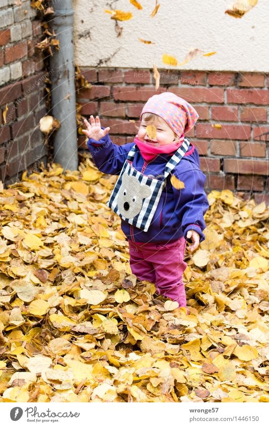 Blättersturm Kind Kleinkind Mädchen Kindheit 1 Mensch 1-3 Jahre Lächeln lachen stehen leuchten Fröhlichkeit Glück lustig blau braun mehrfarbig gelb grau rosa