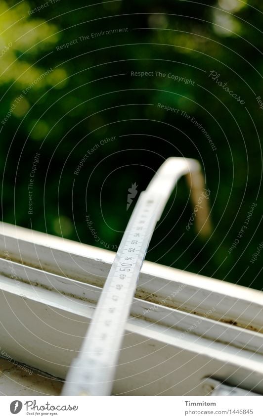 Ende offen. Umwelt Natur Zollstock grün schwarz weiß Neugier Autofenster Kontrolle messen Skala 50 Farbfoto Innenaufnahme Menschenleer Tag