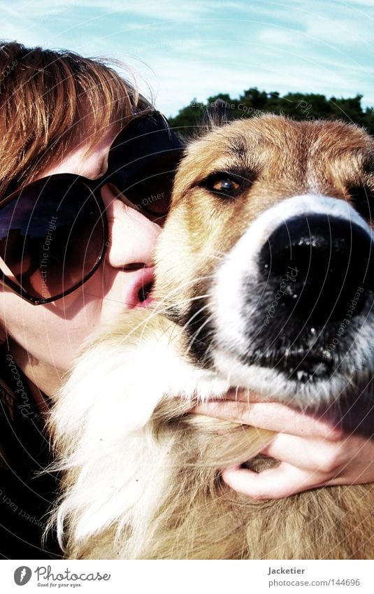 Schmusen. Hund Frau Fräulein Collie Sommer feucht nervig Fell Hand Finger Lippen Sonnenbrille Vertrauen Himmel australien shappert Freude sabber Nase