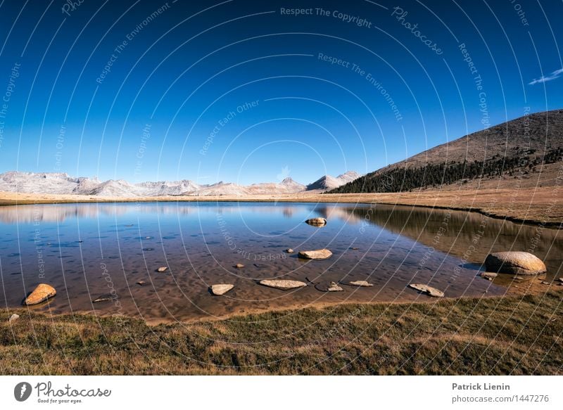 Blue Lake Wohlgefühl Zufriedenheit Sinnesorgane Erholung Ferien & Urlaub & Reisen Umwelt Natur Landschaft Urelemente Erde Wasser Himmel Wolkenloser Himmel Sonne