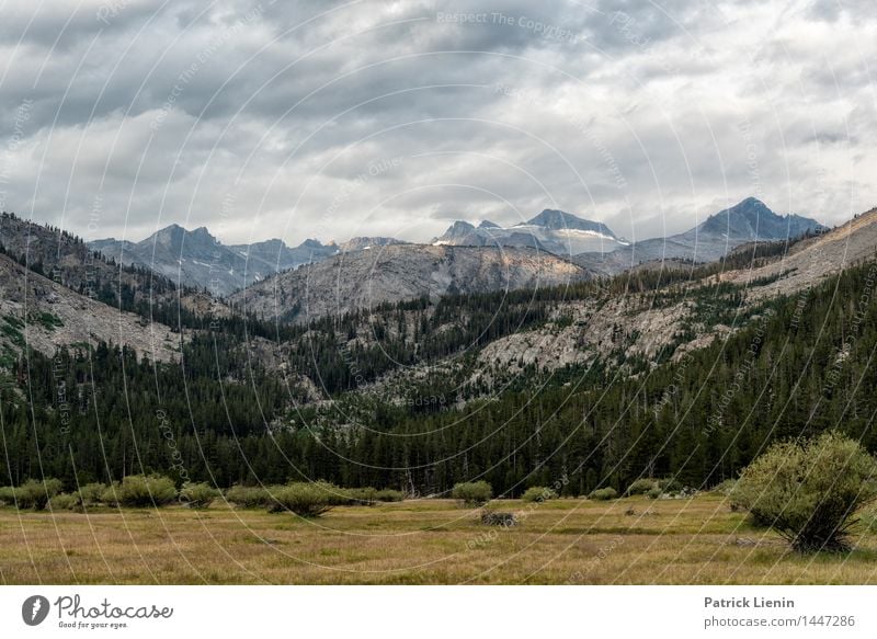 Lyell Canyon harmonisch Wohlgefühl Ferien & Urlaub & Reisen Tourismus Ausflug Abenteuer Freiheit Umwelt Natur Landschaft Urelemente Erde Himmel Wolken