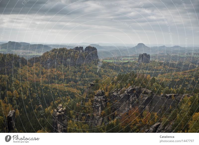 Weitblick, Landschaft im Elbsandsteingebirge Erholung Wandern. Klettern Ausflug Abenteuer Ferne Berge u. Gebirge Bergsteigen wandern Wolken Herbst