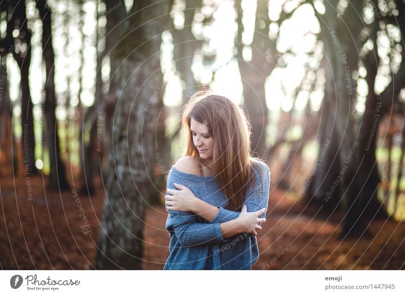 Kuschelzeit feminin Junge Frau Jugendliche 1 Mensch 18-30 Jahre Erwachsene Umwelt Natur Herbst Pullover brünett langhaarig schön kuschlig Erotik Farbfoto